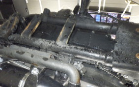 HARLEY XL883RI 2009