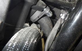 HONDA REBEL 1100 DCT 2022 SC83