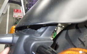 OTHER +ENFIELD ﾒﾃｵ350 2024