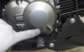 KAWASAKI Z125 PRO 2011 BR125H