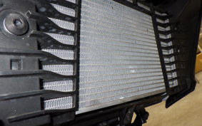 YAMAHA MT-25 A RG74J