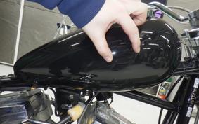 OTHER +UNREGISTERED MODEL by BDS1330 2026