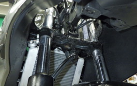 SUZUKI GSX-R125 2007 DL33B