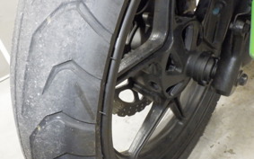 KAWASAKI NINJA 250R 2019 EX250K