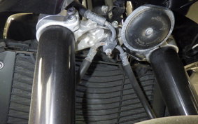 YAMAHA FZ1 FAZER 2010 RN21J