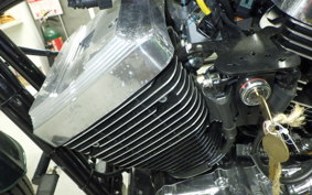 OTHER THUNDER250