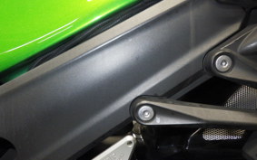 KAWASAKI ZX 1400 NINJA R 2012