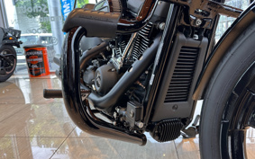 HARLEY FXBBS 2023 YYK