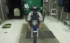 HONDA C110 SUPER CUB 2017 JA42