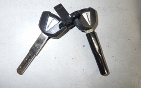 KAWASAKI NINJA1100SX 2025