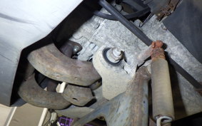 HONDA LEAD 110 2024 JF19