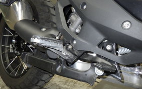 BMW R1300GS ASA 2025