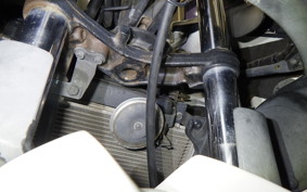 KAWASAKI NINJA 250R EX250K