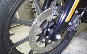 HARLEY XL1200NS 2019