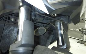 KAWASAKI Z250 2024 ER250C