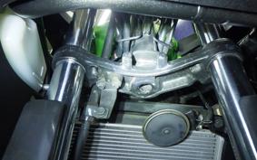 KAWASAKI NINJA 250 EX250L