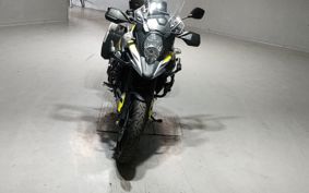 SUZUKI DL1000 ( V-Strom 1000 ) 2019 VU51A