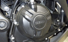 YAMAHA YZF-R25 1998 RG10J