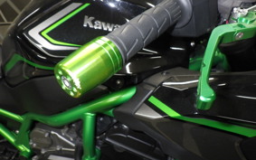 KAWASAKI ZH2 2020 ZRT00K