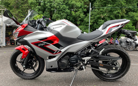 KAWASAKI NINJA 250 EX250Y