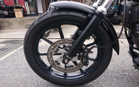 HARLEY FXDL 100th 2003 GDV