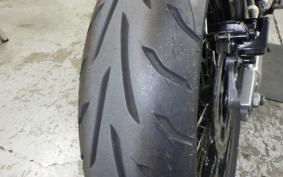 KAWASAKI KLX250D TRACKER X 2024 LX250V