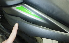KAWASAKI NINJA 1000SX 2024 ZXT02K
