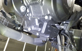 HONDA REBEL 250 MC49