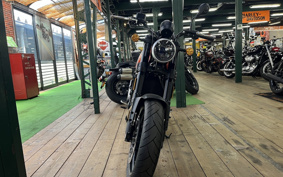 HARLEY X500 2024 W5B
