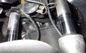KAWASAKI ZZ-R250 EX250H