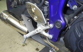 YAMAHA MT-25 2019 RG10J