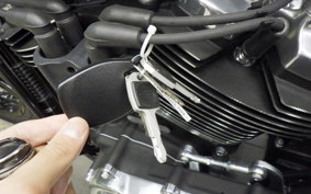 HARLEY FXBB1920 2026