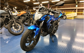 KAWASAKI Z250 SL BR250E