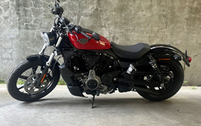 HARLEY  HARLEY RH975 NIGHT  STAR  2023 ZH1
