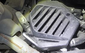 HONDA BENLY 50 AA05