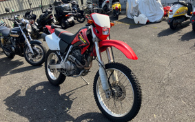 HONDA XR250 MD30