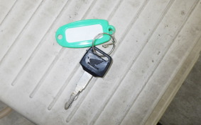 HONDA HORNET 250 1995 MC31