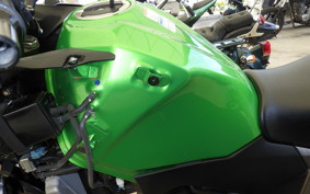 KAWASAKI VERSYS-X 250 A 1994 LE250D