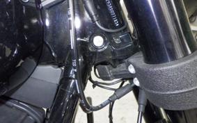 HARLEY FXLRS1920 2025