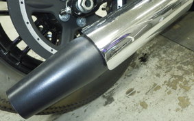 HARLEY XL1200XS 2019