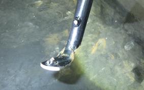 HONDA LEAD 125 2023 JK12