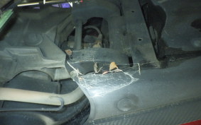 SUZUKI ｽｳｨｯｼｭ125 DV12B