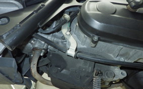 HONDA ZOOMER 2025 AF58