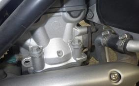 YAMAHA WR250R 2025 DG15J