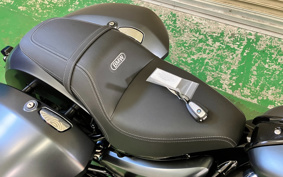 BMW R18 ROCTANE 2024 0N61