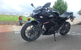 SUZUKI GSX250 R DN11A