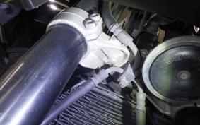 YAMAHA FZ1 FAZER 2009 RN21J
