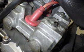 HONDA HORNET 250 MC31