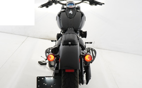 HARLEY FLS 2012 JR5