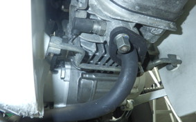 HONDA C110 SUPER CUB